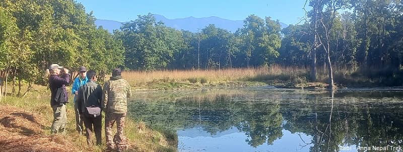 Chitwan jungle safari