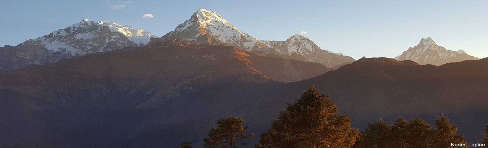 Poon Hill Trek